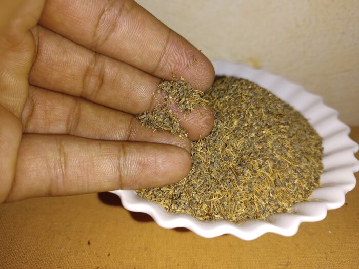 Graines de Khella Marocaine Ammi Visnaga Herbes Naturelles 50g-800g - بذور الخلة – Image 2