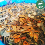 Ras El Hanout marocain en poudre Mélange naturel d'herbes et d'épices 50g-800g - راس الحانوت – Image 2