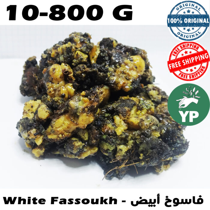 WHITE-FASSOUKH WHITE-FASSOUKH