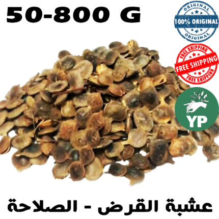 Moroccan Acacia Nilotica Dried