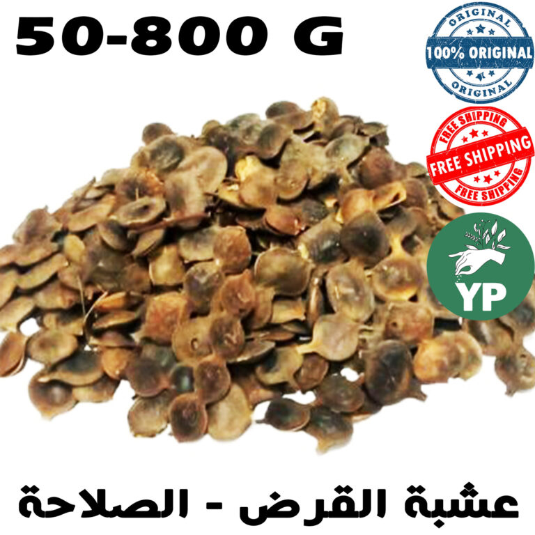 Moroccan Acacia Nilotica Dried