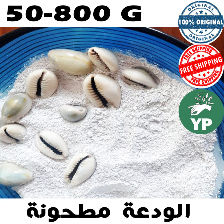Moroccan Cypraea Shell Powder
