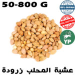 Moroccan Mahaleb Seed