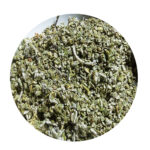 Moroccan Natural Thymelaea Hirsuta Herb