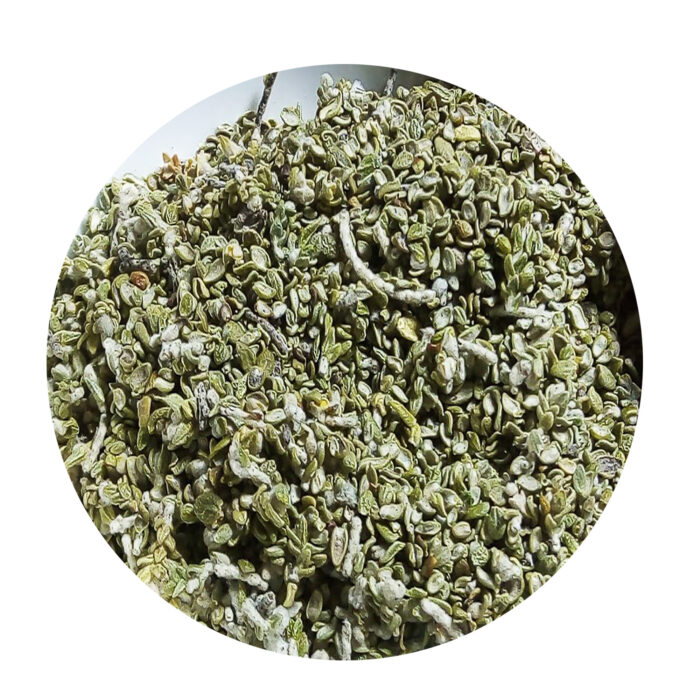 Moroccan Natural Thymelaea Hirsuta Herb