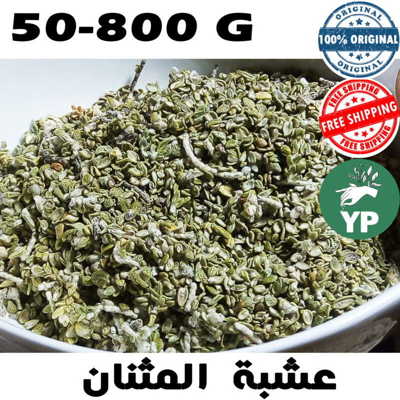 Moroccan Natural Thymelaea Hirsuta Herb