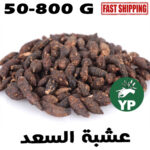 Moroccan Organic Cyperus Nut Grass Herb