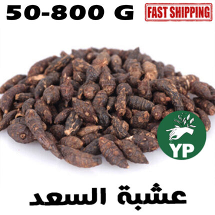 Moroccan Organic Cyperus Nut Grass Herb