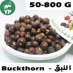 Organic Moroccan Buckthorn Seeds