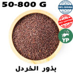 Organic Moroccan Mustard Seeds
