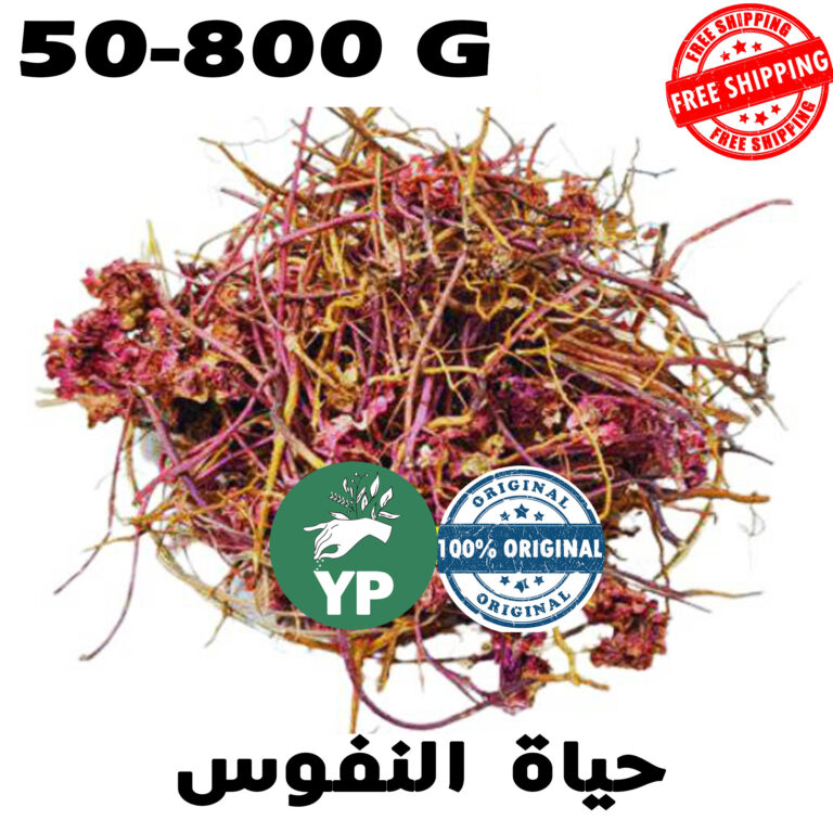 Moroccan Origanum Vulgare Roots