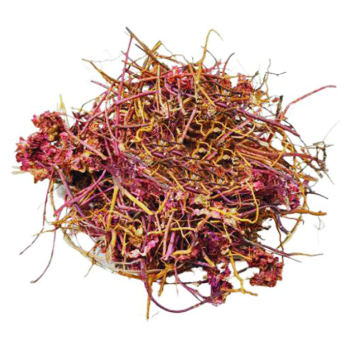 Moroccan Origanum Vulgare Roots