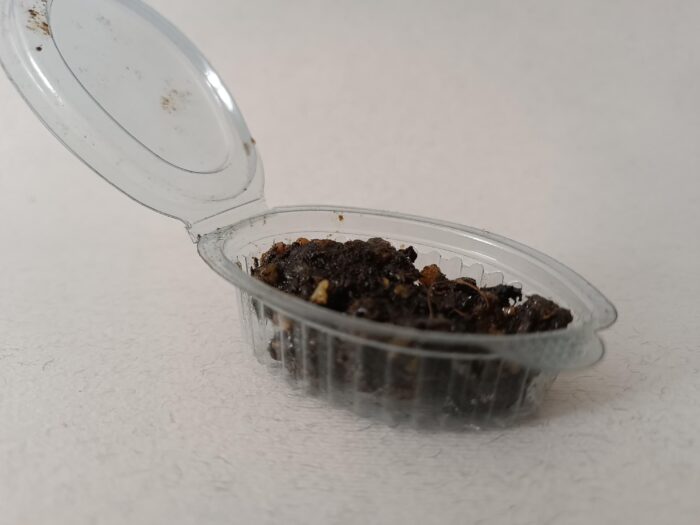 Moroccan Black Fassoukh Incense 100% Pure 10G - بخور الفاسوخ الأسوذ - Image 3