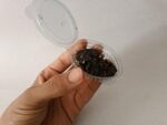Moroccan Black Fassoukh Incense 100% Pure 10G - بخور الفاسوخ الأسوذ - Image 2