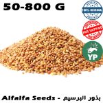 Premium Moroccan Alfalfa Seeds (زريعة الفصة - بذور البرسيم) - Organic Natural Superfood