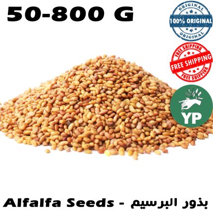 Premium Moroccan Alfalfa Seeds (زريعة الفصة - بذور البرسيم) - Organic Natural Superfood