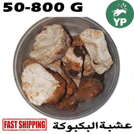 Premium Moroccan Bakbouka (عشبة البكبوكة) - Natural Beauty Treatment