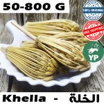 Natural Moroccan Khella herb with Arabic text عشبة الخلة بوشنيخة