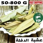 Nerium Oleander (عشبة الدفلة) | Feuilles de Defla séchées 50g-800g
