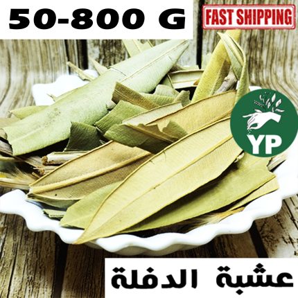 Nerium Oleander (عشبة الدفلة) | Feuilles de Defla séchées 50g-800g