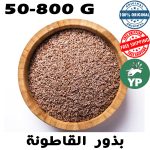 Graines de psyllium marocaines biologiques (بذور القاطونة) | Fibre naturelle 50g-800g