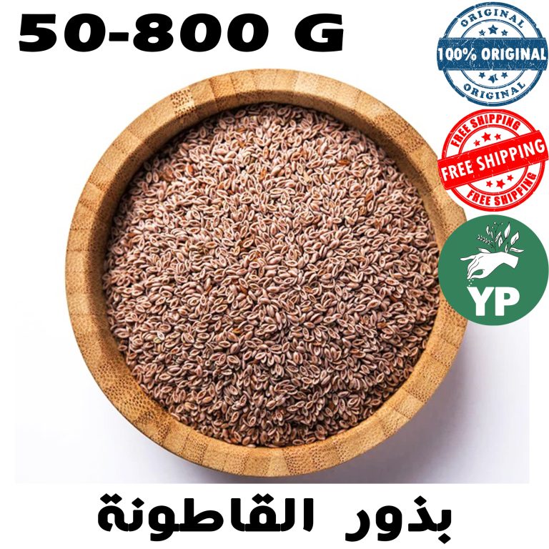 Premium Moroccan Psyllium Seeds (بذور القاطونة) - Organic Plantago Ovata Natural Fiber