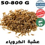 Graines de carvi naturel du Maroc (كروياء) | Épice traditionnelle 50g-800g