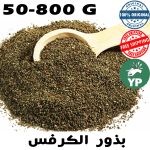 Graines de céleri naturel du Maroc (بذور الكرافس) | Culinary & Garden 50g-800g