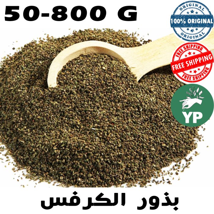 Graines de céleri naturel du Maroc (بذور الكرافس) | Culinary & Garden 50g-800g – Image 2