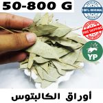 Premium Moroccan Eucalyptus Leaves (كالبتوس) - Traditional Natural Herb in 50g-800g