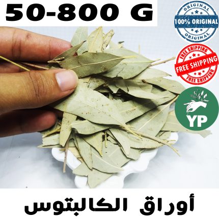 Premium Moroccan Eucalyptus Leaves (كالبتوس) - Traditional Natural Herb in 50g-800g