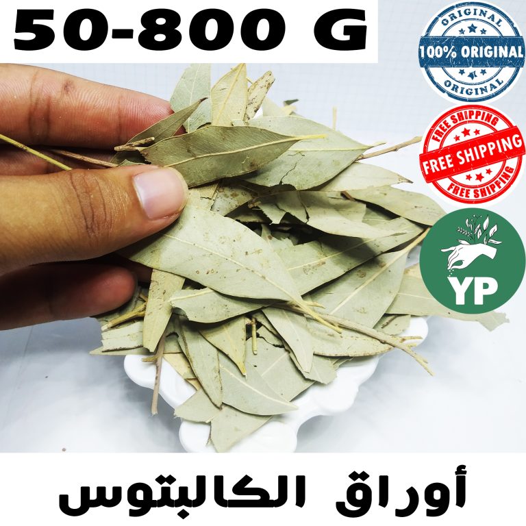 Premium Moroccan Eucalyptus Leaves (كالبتوس) - Traditional Natural Herb in 50g-800g