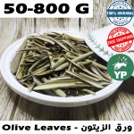 Feuilles d'olivier naturelles du Maroc (ورق الزيتون مجفف) | Herbe à thé traditionnelle 50g-800g