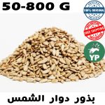 Graines de tournesol marocaines naturelles (بذور دوار الشمس مقشر) | Graines traditionnelles 50g-800g
