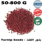 Graines de navet naturel du Maroc (بذور اللفت) | Culinary & Garden 50g-800g