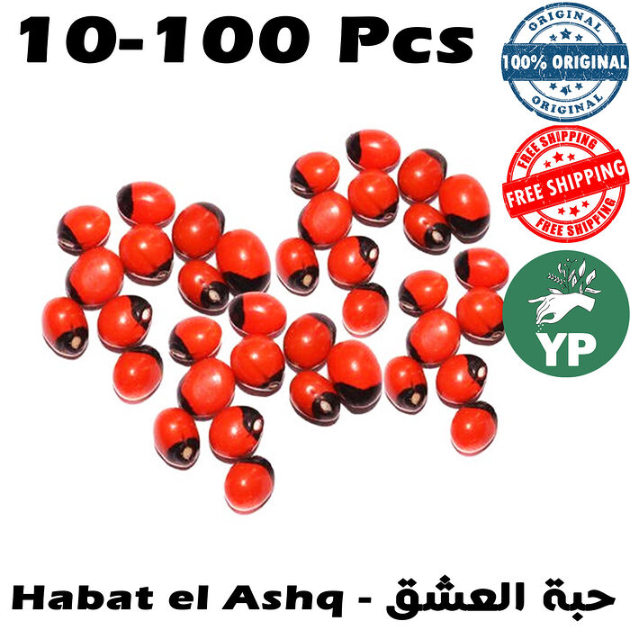 A pile of vivid red and black Abrus Precatorius seeds known as Chirmi Ratti Gunja lucky beads scattered on a white background showing their characteristic two-toned glossy surface