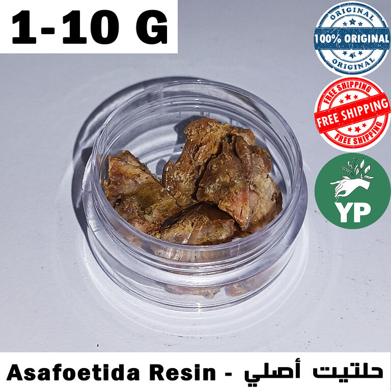 Raw asafoetida resin chunks in a clear plastic jar, amber-brown color, labeled as authentic Moroccan Haltit resin for Ruqyah