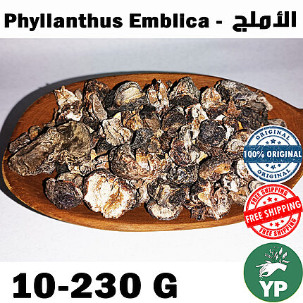 Dried dark brown Phyllanthus Emblica Amla pieces piled on a wooden oval tray on a white background