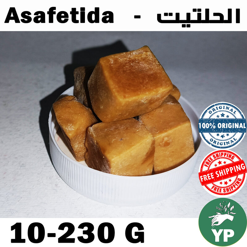 Golden-amber asafetida resin cubes piled in a white round container, showing the natural texture and warm brown color of pure haltiit incense