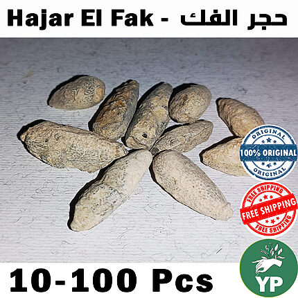 Ten natural Hajar El Fak Moroccan incense stones arranged in a fan shape on a white textured surface, showing their beige-grey oblong form