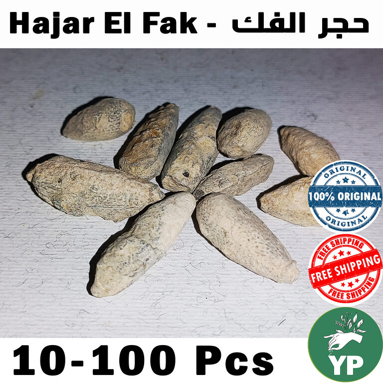 Ten natural Hajar El Fak Moroccan incense stones arranged in a fan shape on a white textured surface, showing their beige-grey oblong form