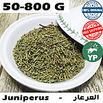 Close-up of dried green Moroccan juniperus needle leaves piled in a white ceramic bowl on a rustic wooden surface