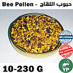 Colorful raw bee pollen granules in a gold tin lid showing a mix of golden yellow, purple, and amber granules from Moroccan wildflowers