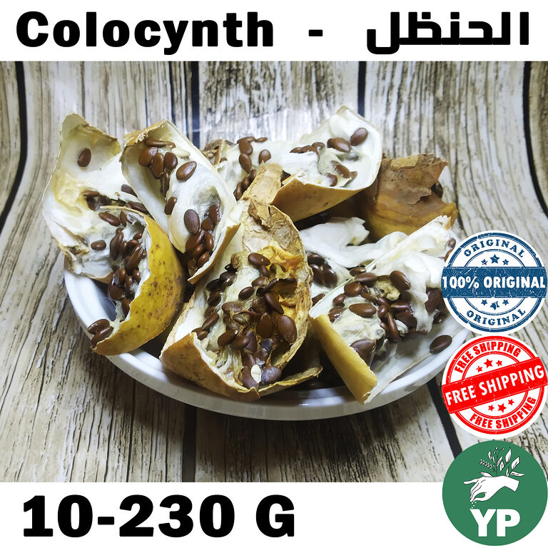 Dried Moroccan colocynth pieces with brown seeds displayed on a white plate on a wooden background