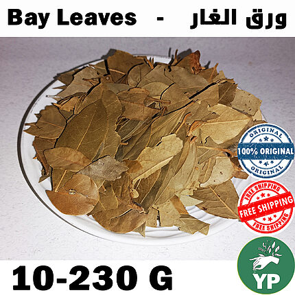 Whole dried golden-brown Moroccan bay leaves (Laurus nobilis) piled on a white ceramic plate, showing natural texture and authentic quality