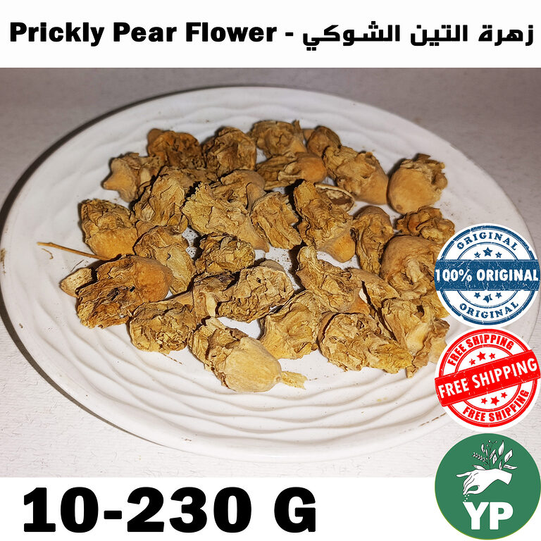 Dried golden-beige prickly pear cactus flowers on a white ceramic plate, showing whole dried blooms with natural texture