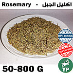 Dried green rosemary herb needles piled on a white ceramic plate, top view on a light background