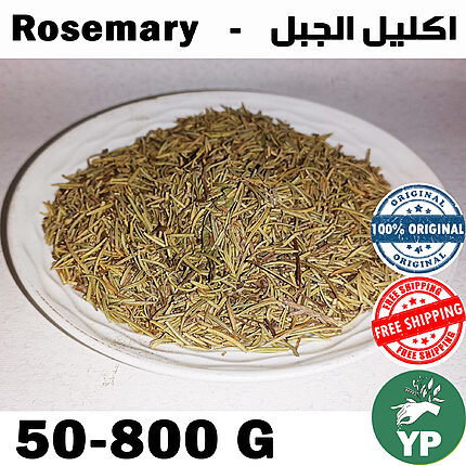 Dried green rosemary herb needles piled on a white ceramic plate, top view on a light background