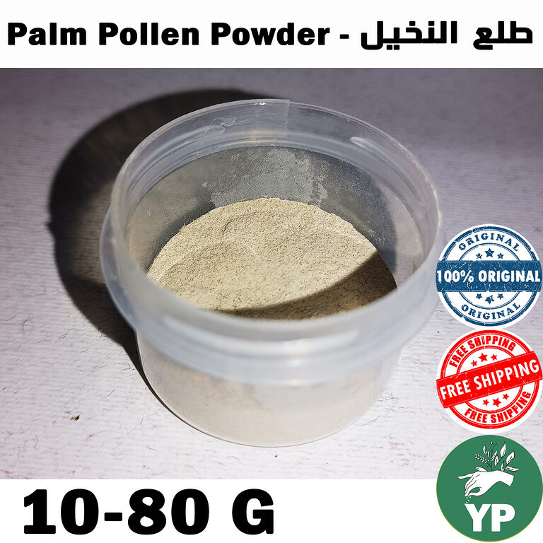 Fine beige-gold palm pollen powder in a transparent plastic container, viewed from above on a light textured background
