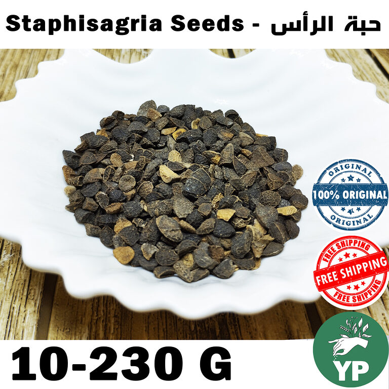 Dark brown whole Staphisagria seeds (Habbat Al-Ras) displayed on a white scalloped ceramic plate against a wooden background